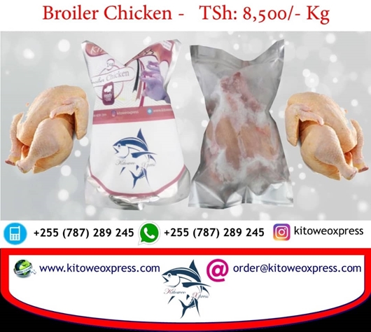 Picture of Broiler Chicken