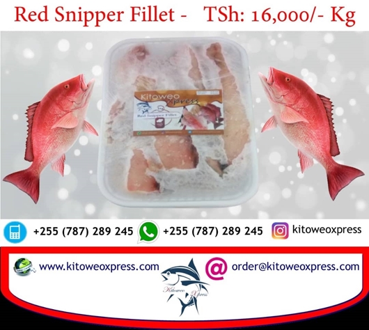 Picture of Red Snipper Fillet