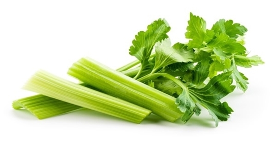 Picture of Celery per bunch