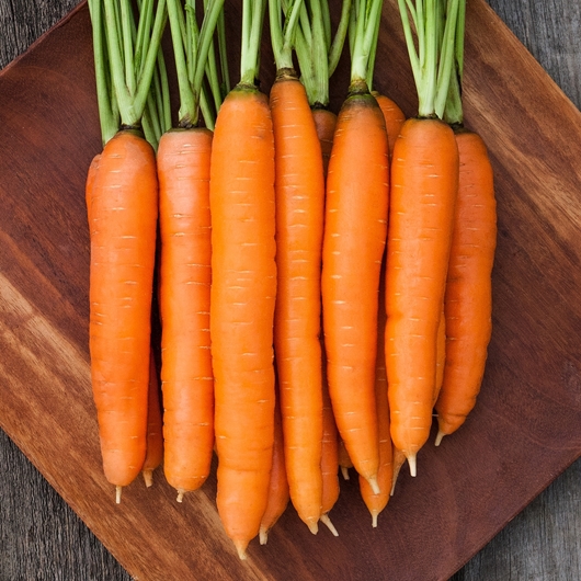 Picture of Carrot