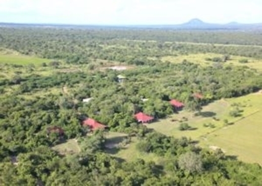 Picture of KIGAMBONI PLOTS (769 m2)