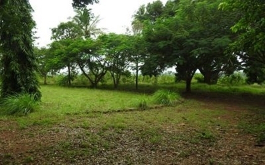 Picture of KIGAMBONI PLOTS (827 m2)