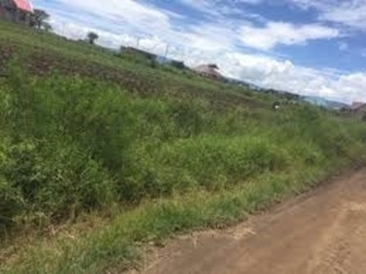 Picture of KIGAMBONI PLOTS (810 m2)