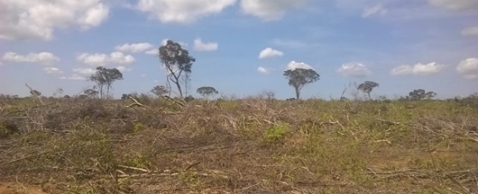 Picture of KIGAMBONI PLOTS (825 m2)