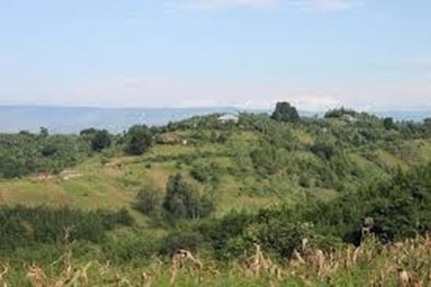 Picture of KIGAMBONI PLOTS (846 m2)