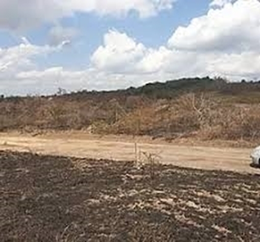 Picture of KIGAMBONI PLOTS (658 m2)