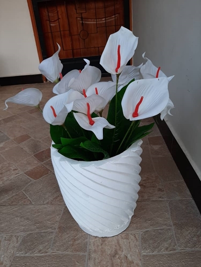 Picture of PEACE LILY FLOWER