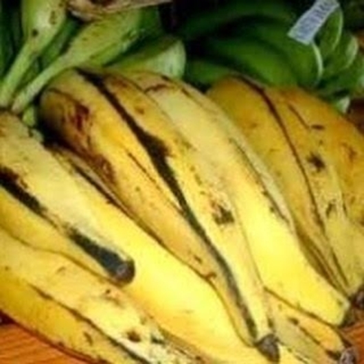 Picture of Banana bunch (ndizi mzuzu)