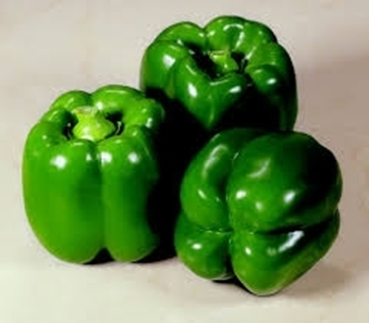 Picture of Green pepper (Hoho)