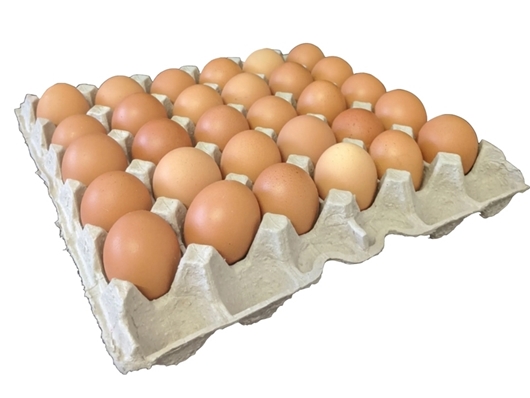 Picture of Tray ya Mayai - Tray of Eggs
