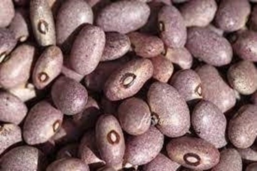 Picture of Maharage soya - Soya Beans