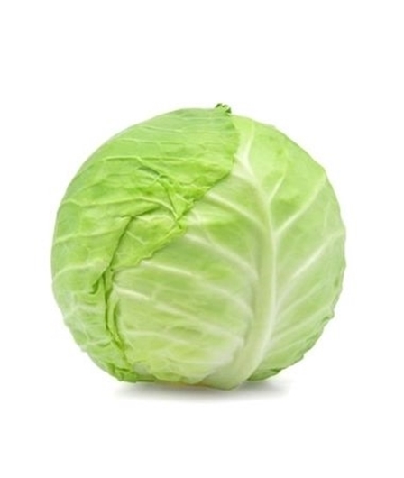 Picture of Cabbage Medium