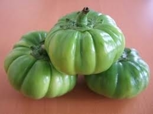 Picture of Nyanya Chungu Ngogwe - Ngogwe Bitter Tomatoes