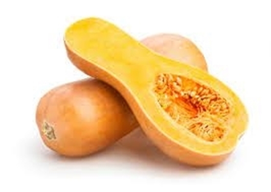 Picture of Butternut