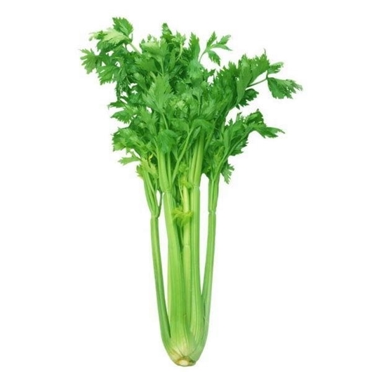 Picture of Celery