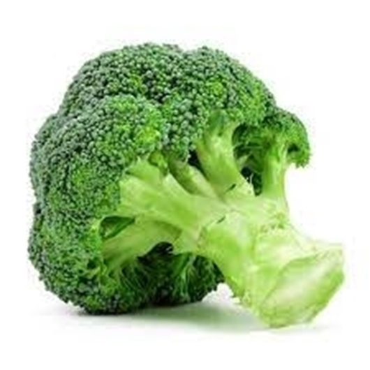 Picture of Broccoli