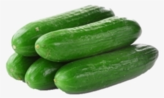 Picture of Matango - Cucumbers