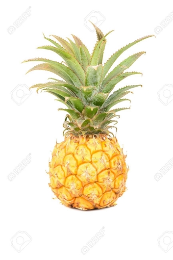 Picture of Nanasi (Dogo) - Pineapple (Small)