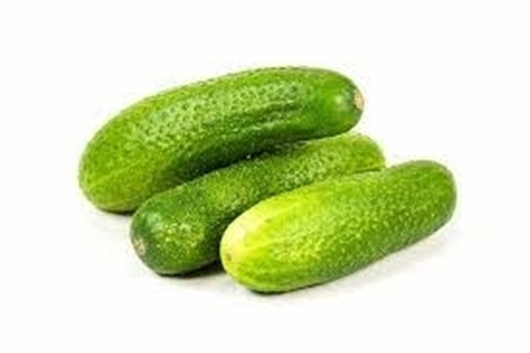 Picture of Pickling Cucumbers "Cucumbers"