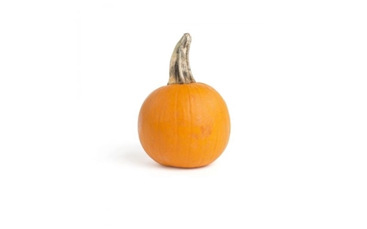Picture of Maboga Madogo - Small Pumpkins