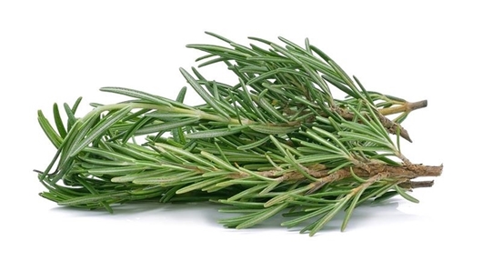 Picture of Rosemary