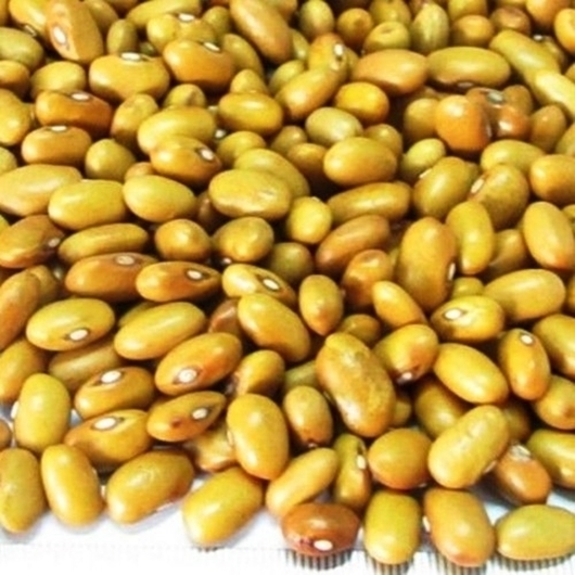 Picture of Maharage ya Njano - Yellow Beans