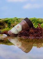 Picture of Sea Moss Gel