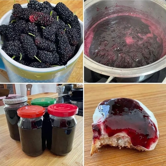 Picture of Organic Berries Jam