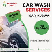 Picture of Car Wash Services Package 2
