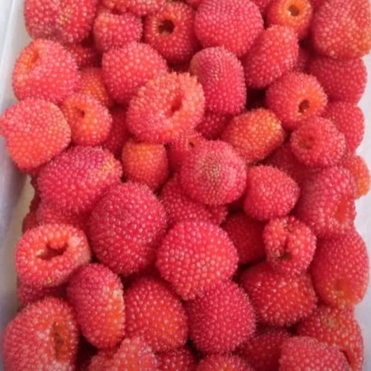 Picture of Raspberry