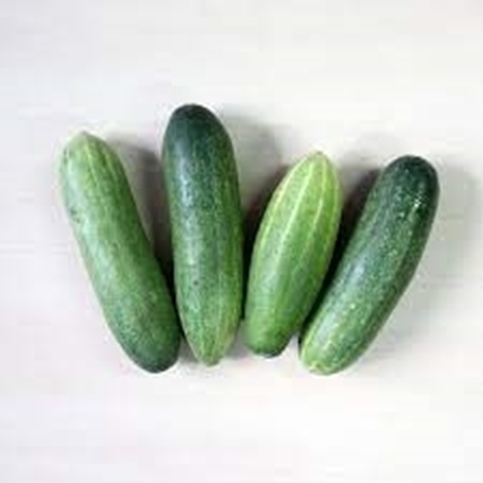 Picture of Cucumbers FungU