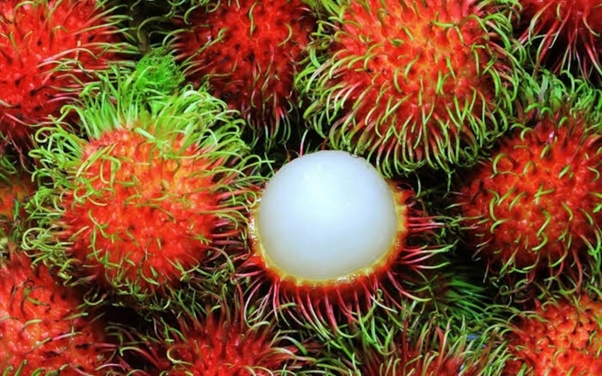 Picture of Rambutan(Shokishoki)